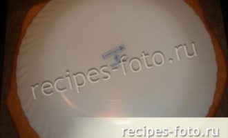 domashniy-medovyy-tort-retsept-s-poshagovym-foto-007-9267926