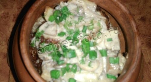 Драники в горшочке с грибами и сметаной, рецепт с фото