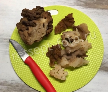 Грибы свежие (вешенки, строчки гигантские, сморчковые шапочки) – 1 кг
